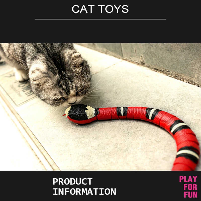 SNAKE TABBY TOY